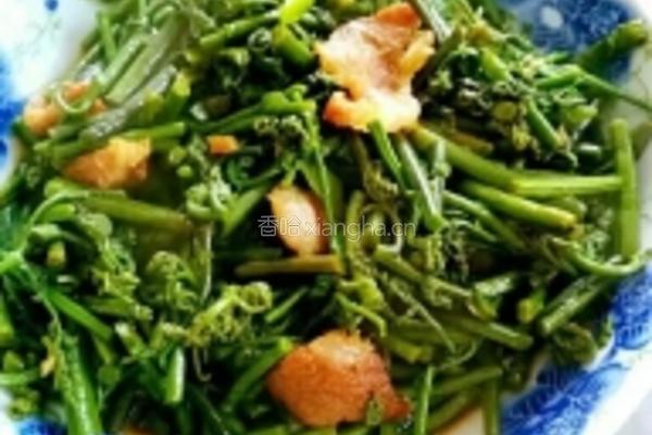 厥菜炒肉的做法图解5