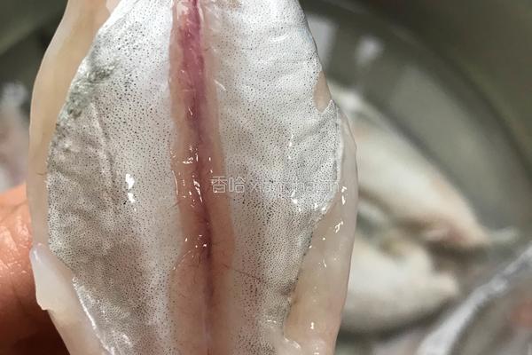虾孱豆腐汤的做法图解4
