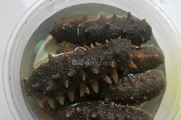 葱烧海参的做法图解1
