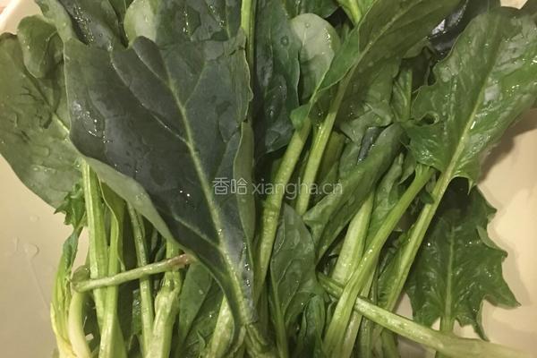 二合一手工炸酱面（西红柿鸡蛋、炸酱肉臊子）的做法图解1