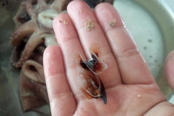 照烧鱿鱼饭的做法图解2