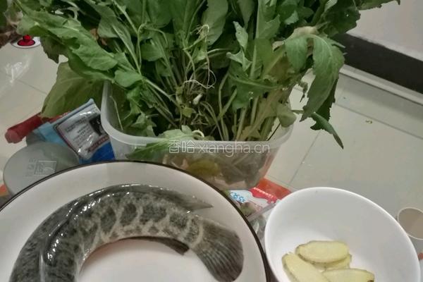 塘葛菜煲生鱼的做法图解1