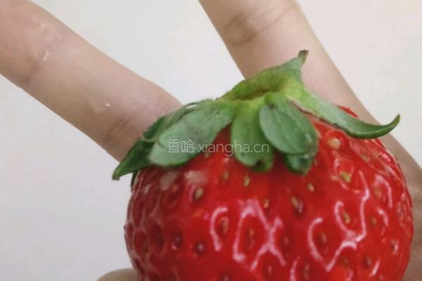 巧克力草莓大福的做法图解1