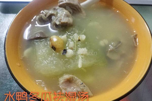 水鸭冬瓜祛湿汤的做法图解10
