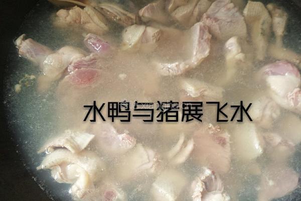 水鸭冬瓜祛湿汤的做法图解4