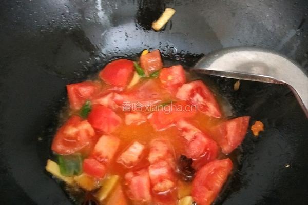 西红柿土豆炖牛肉的做法图解9