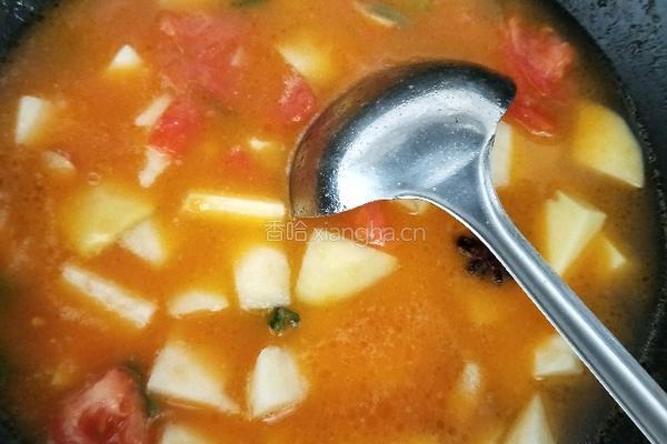 西红柿土豆炖牛肉的做法图解11