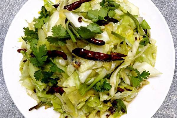 鲁菜大师蒋家常菜香辣圆白菜的做法图解7