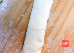 猪肉粉条肉饼的做法图解7
