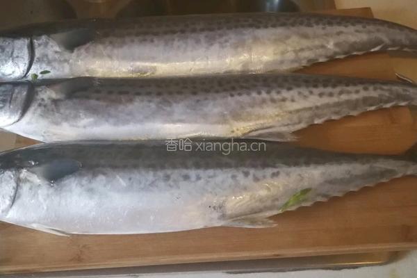 鲅鱼水饺的做法图解2