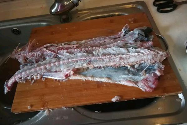 鲅鱼水饺的做法图解4