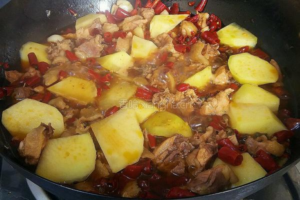 土豆黄焖鸡的做法图解13