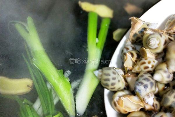 白灼花螺 的做法图解4