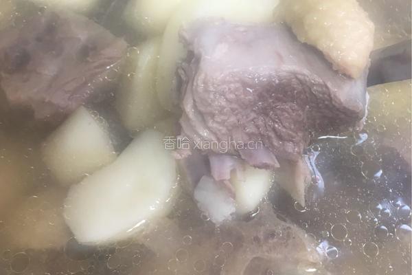 马蹄鸭汤的做法图解7