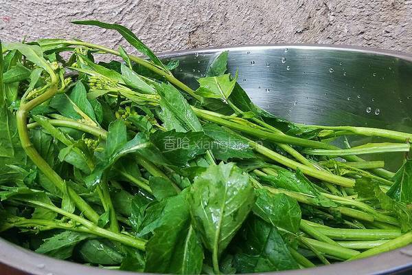 冲菜（芥末味菜心）的做法图解1