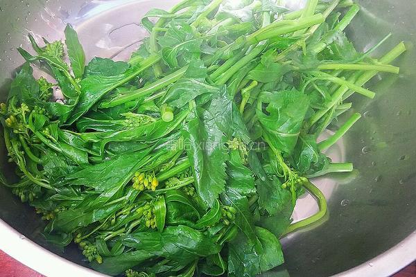 冲菜（芥末味菜心）的做法图解3