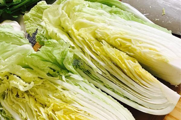韩式辣白菜的做法图解2