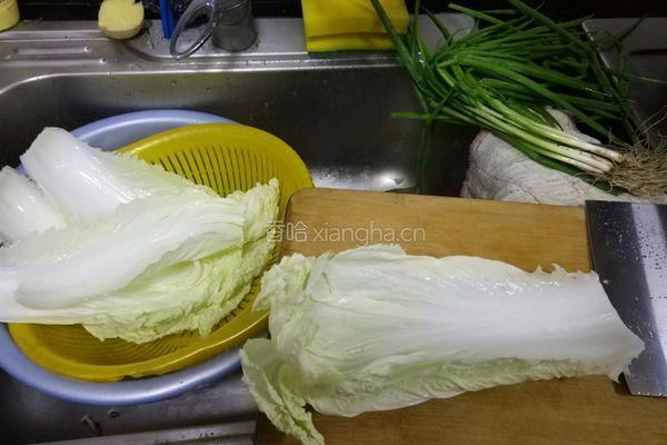 白菜猪肉水饺的做法图解1
