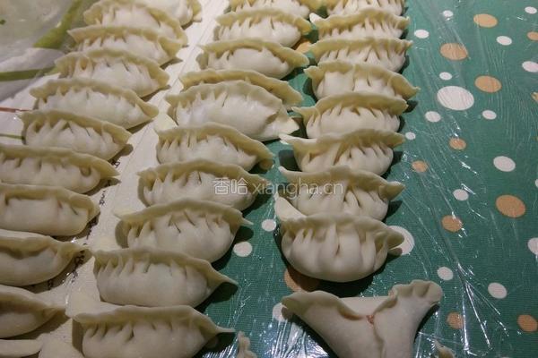 白菜猪肉水饺的做法图解7
