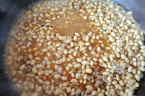 黄豆芽炒韭菜的做法图解4