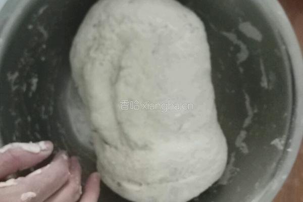 花卷山东馒头的做法图解4