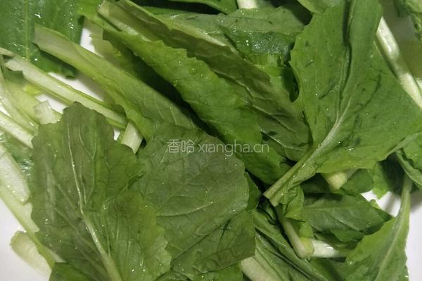 小白菜排骨汤的做法图解5