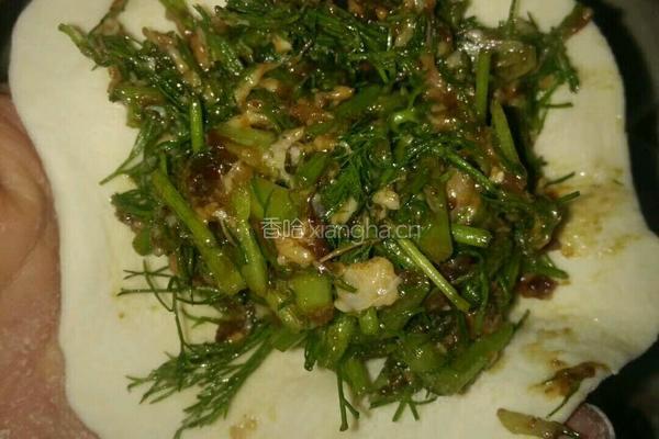 家常茴香大包的做法图解8