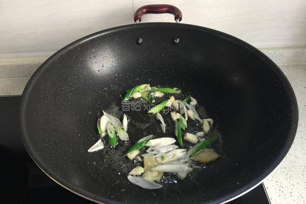 干锅大鹅的做法图解6