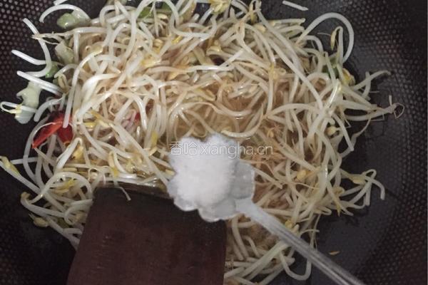 炒绿豆芽的做法图解5