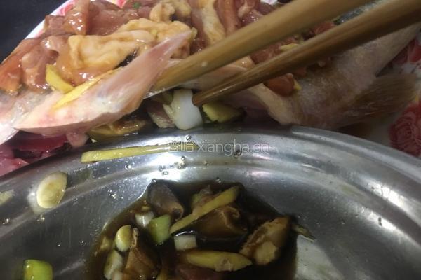 古法清蒸鲈鱼的做法图解4