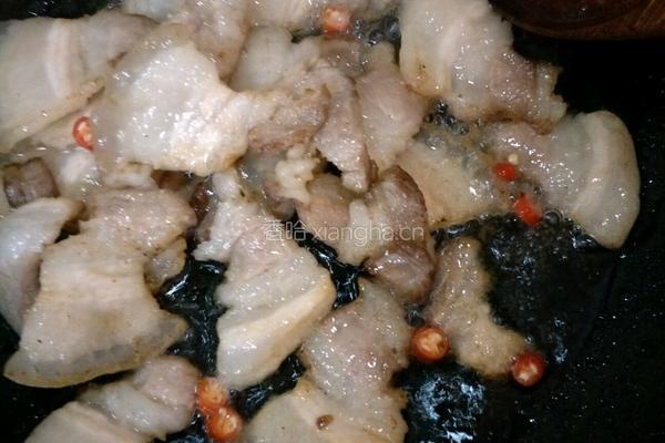 蒜香回锅肉的做法图解4