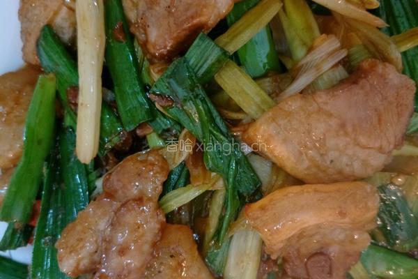 蒜香回锅肉的做法图解6