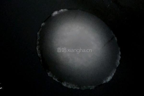 江米条的做法图解12