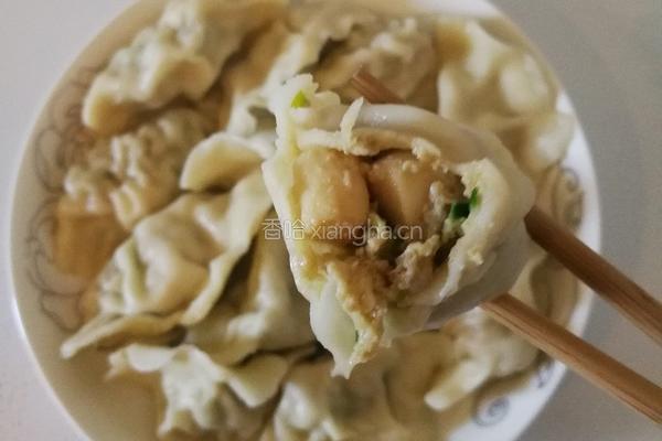 扇贝丁水饺的做法图解7