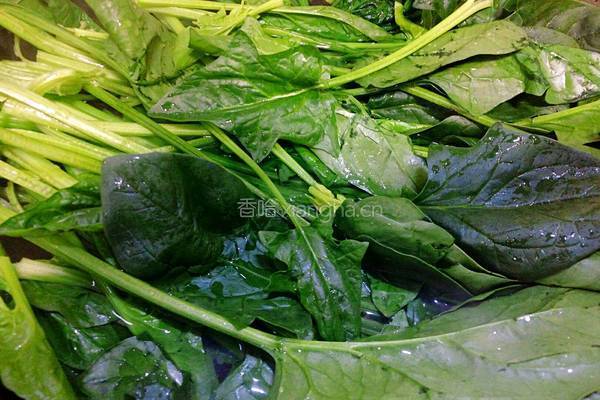 清炒菠菜的做法图解3