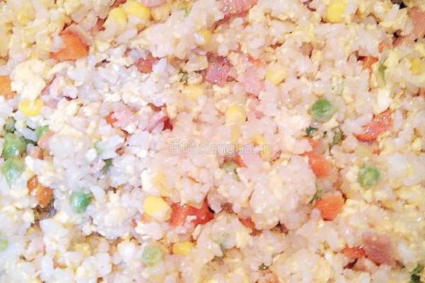 培根蛋炒饭的做法图解19