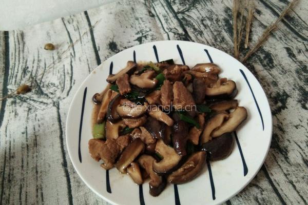 香菇炒肉的做法图解12