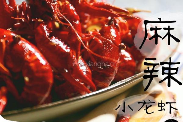 麻辣小龙虾的做法图解9