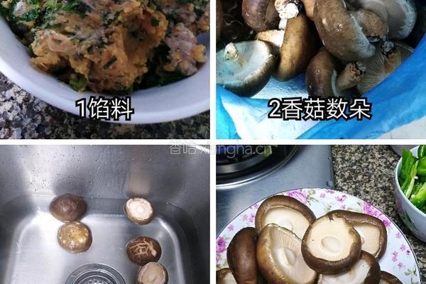 清水湾的花菇朵的做法图解1