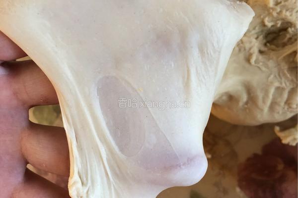 椰蓉叶子面包的做法图解5