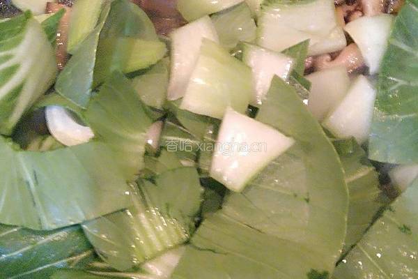 香菇油菜的做法图解12