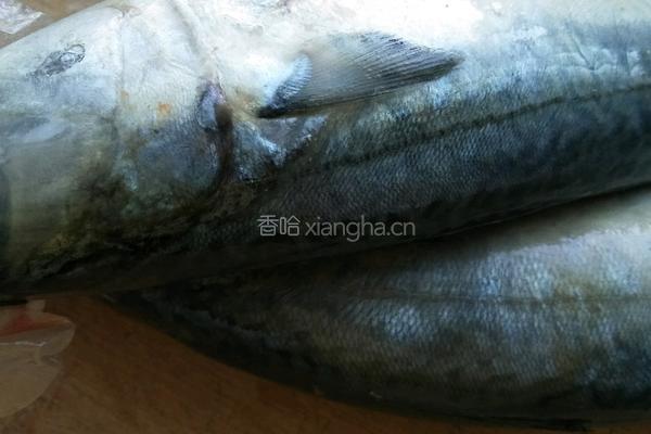 鲅鱼水饺的做法图解1