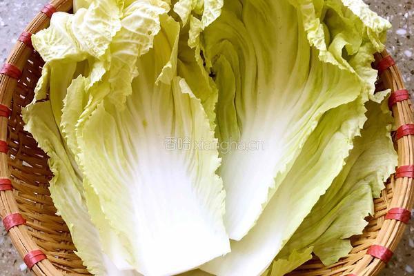 白菜肉馅卷的做法图解1