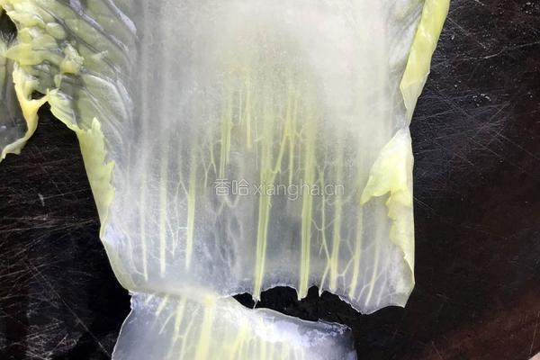 白菜肉馅卷的做法图解6