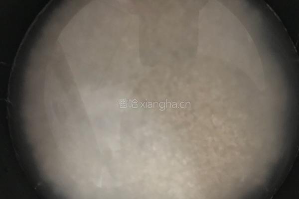 芸豆米饭的做法图解4