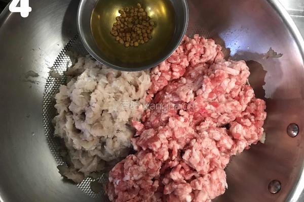 鲅鱼水饺的做法图解4