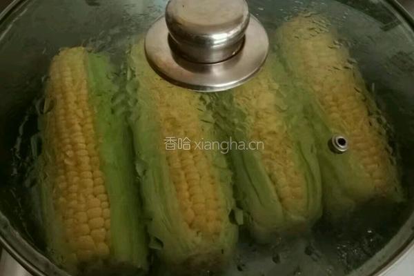 蒸玉米的做法图解3