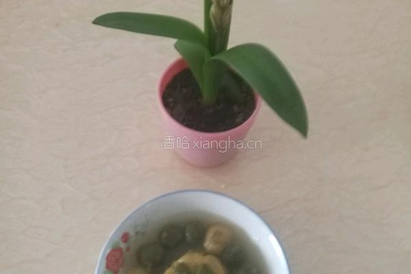 红薯和抹菜汤园