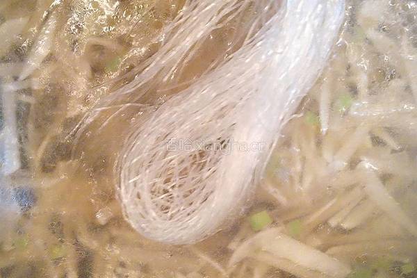 萝卜粉丝丸子汤的做法图解15