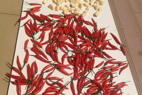 蒜蓉辣椒酱的做法图解2